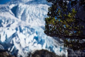 Serie: Patagonian Explorers 2018-19 // Fotos y Edición: Felipe “Pipo” (viajandonaviaje.com) // Glaciar Dainelli (o Águila), Cordillera Darwin
