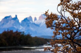 Serie fotográfica: "Otoño en Torres del Paine" // Fotos y Edición: @Felipe “Pipo” (viajandonaviaje.com) // P.N. Torres del Paine Abril 2019